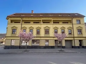 Prodej bytu 1+kk, Brno, Svitavská, 30 m2