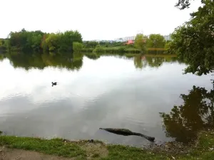 Pronájem bytu 3+kk, Praha - Háje, Jurkovičova, 66 m2