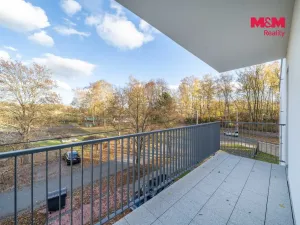 Pronájem bytu 2+kk, Třemošná, Školní, 50 m2