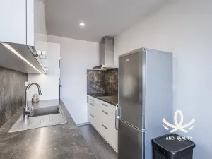Pronájem bytu 2+kk, Mladá Boleslav, 17. listopadu, 44 m2