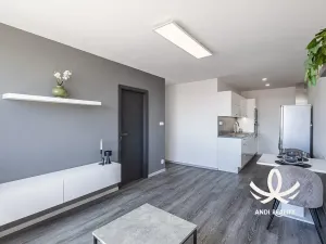 Pronájem bytu 2+kk, Mladá Boleslav, 17. listopadu, 44 m2