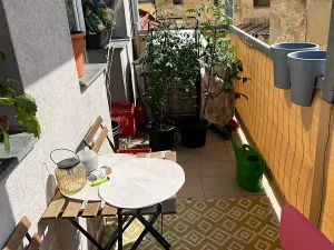 Pronájem bytu 2+1, Brno, Cejl, 45 m2