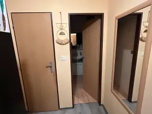 Pronájem bytu 2+1, Brno, Cejl, 45 m2
