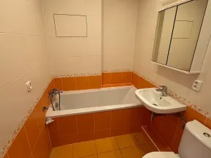 Prodej bytu 1+1, Brno, Dobrovského, 40 m2