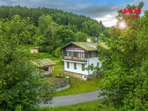 Prodej ubytování, Plavy, 500 m2
