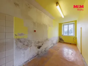 Prodej rodinného domu, Stružná, 213 m2