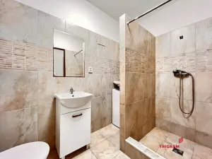 Pronájem bytu 1+kk, Hradec Králové - Plotiště nad Labem, 26 m2