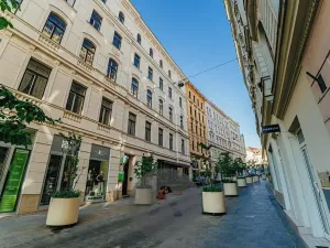 Prodej bytu 3+kk, Brno, Zámečnická, 120 m2