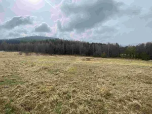 Prodej pole, Vyšší Brod - Hrudkov, 8071 m2
