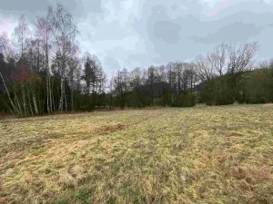 Prodej pole, Vyšší Brod - Hrudkov, 8071 m2