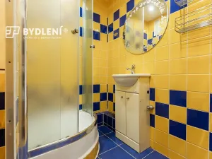 Prodej bytu 1+kk, Teplice, Hlávkova, 26 m2