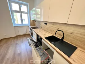 Pronájem bytu 2+1, Brno, Zemědělská, 65 m2