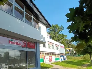 Pronájem bytu 2+kk, Svitavy, Svitavská, 53 m2