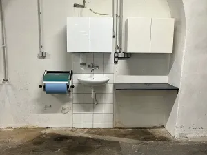 Pronájem skladu, Hajany, 450 m2