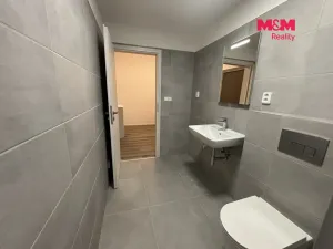 Pronájem bytu 1+kk, Hořovice, U Štěpánků, 38 m2