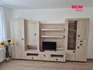 Pronájem bytu 1+1, Děčín - Děčín II-Nové Město, Dvořákova, 40 m2