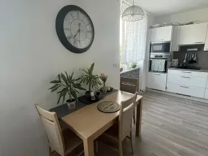 Pronájem bytu 2+1, Olomouc, Dr. Milady Horákové, 65 m2