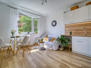 Pronájem bytu 1+1, Děčín - Děčín IX-Bynov, Nálepkova, 35 m2