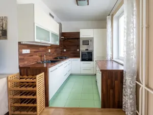 Pronájem bytu 2+1, Lovosice, Sady pionýrů, 54 m2
