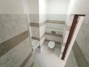 Pronájem bytu 3+kk, Planá, Karlín, 61 m2