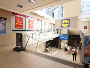 Pronájem obchodního prostoru, Praha - Krč, Olbrachtova, 450 m2
