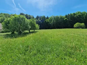 Prodej pozemku pro bydlení, Hrubá Skála, 3894 m2