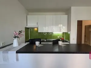Prodej bytu 1+kk, Brno, Vltavská, 28 m2