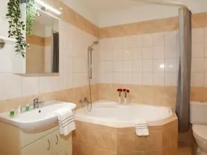 Pronájem bytu 3+kk, Praha - Vinohrady, Moravská, 65 m2