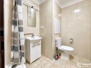 Pronájem bytu 1+1, Olomouc, Hraniční, 31 m2