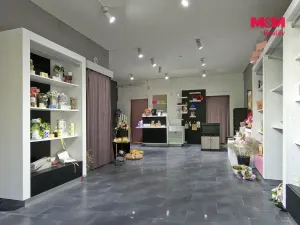 Pronájem obchodního prostoru, Čáslav - Čáslav-Staré Město, Formíkova, 67 m2
