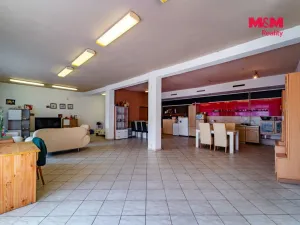 Prodej rodinného domu, Kraslice, Dukelská, 650 m2