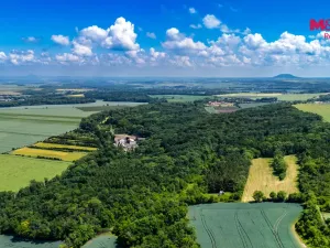 Prodej lesa, Libochovice - Poplze, 49399 m2