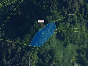 Dražba lesa, Český Dub, 1217 m2