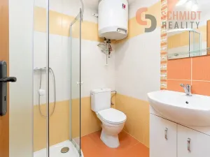 Prodej vinného sklepa, Prušánky, Nechory, 100 m2