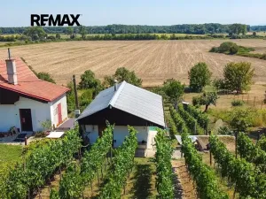 Prodej vinného sklepa, Tvrdonice, 46 m2