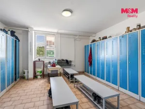 Prodej výrobních prostor, Štětí, Cihelná, 2882 m2