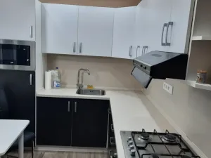 Pronájem bytu 2+1, Chomutov, Arbesova, 61 m2