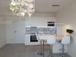 Pronájem bytu 1+kk, Ostrava, Závoří, 32 m2
