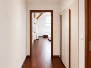 Pronájem bytu 2+kk, Praha - Žižkov, Vlkova, 89 m2