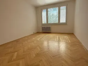 Pronájem bytu 2+1, Písek, nábřeží 1. máje, 64 m2