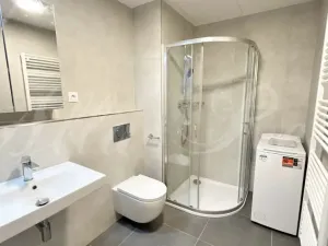Pronájem bytu 1+kk, Brno - Štýřice, Sovinec, 30 m2