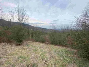 Prodej pozemku, Mírová pod Kozákovem - Vesec, 1000 m2