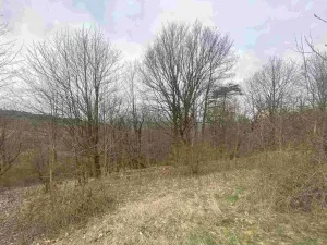 Prodej pozemku, Mírová pod Kozákovem - Vesec, 1000 m2