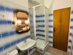 Pronájem apartmánu, Karlovy Vary, Zámecký vrch, 200 m2