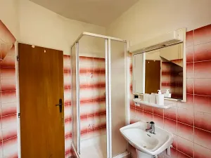 Pronájem apartmánu, Karlovy Vary, Zámecký vrch, 200 m2