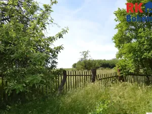 Prodej pozemku pro bydlení, Cholenice, 16365 m2