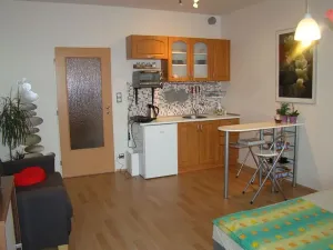 Pronájem bytu 1+kk, Praha - Vysočany, Podkovářská, 38 m2