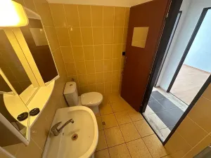 Pronájem bytu 1+1, Děčín, U Tvrze, 34 m2