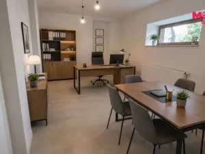 Pronájem kanceláře, Český Těšín, Masarykovy sady, 50 m2