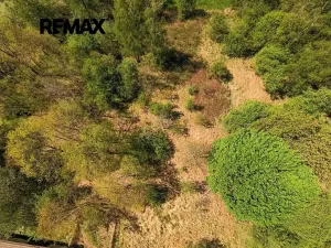 Prodej pozemku pro bydlení, Rapšach, 8139 m2